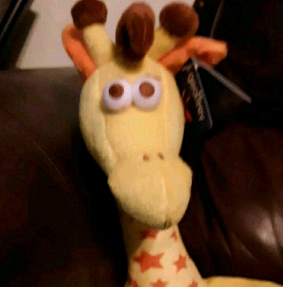 Toys R us Geoffrey plush